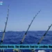 Saltwater Fishing Reels: The Ultimate Tool for Landing Big Game Fish Saltwater Fishing Reels