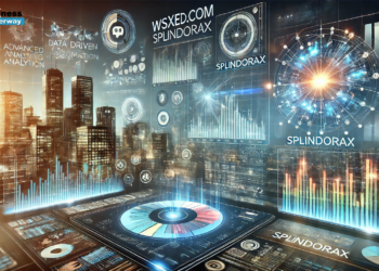 Wsxed.com Splindorax: Transforming Business Operations with Cutting-Edge Technology Wsxed.com Splindorax