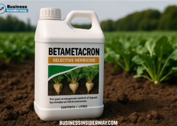 Betametacron: Understanding Its Role, Uses, and Importance Betametacron