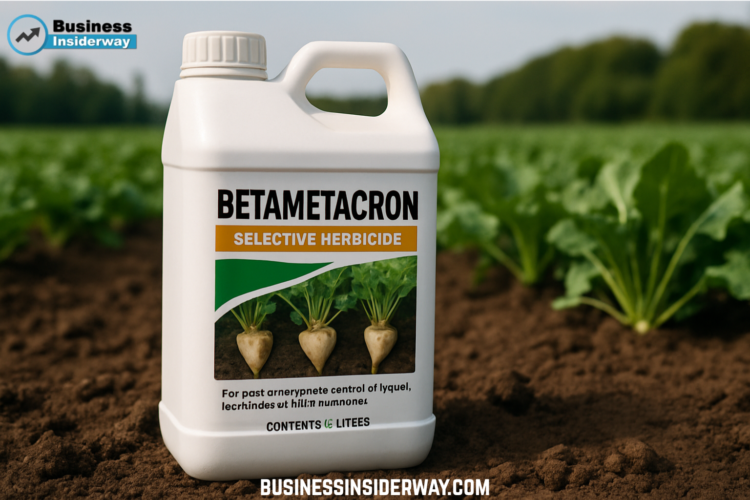 Betametacron: Understanding Its Role, Uses, and Importance Betametacron